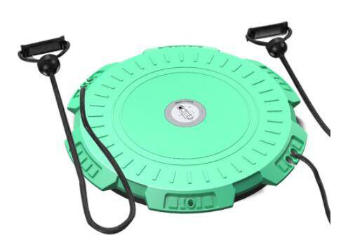 Yoga Twisting Fitness Plate - DiscoveringUOnline